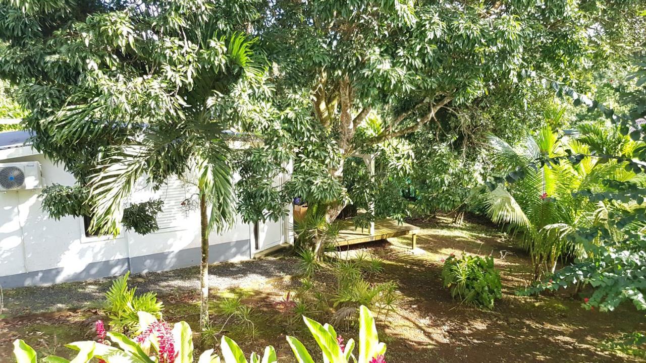 פטי-בור Habitation Villa Les Cassias מראה חיצוני תמונה